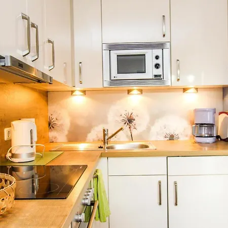 Kormoran Pusteblume *