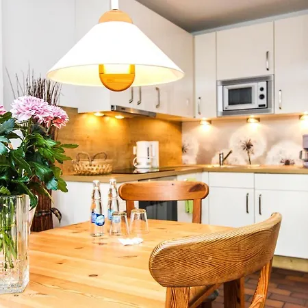 Kormoran Pusteblume *